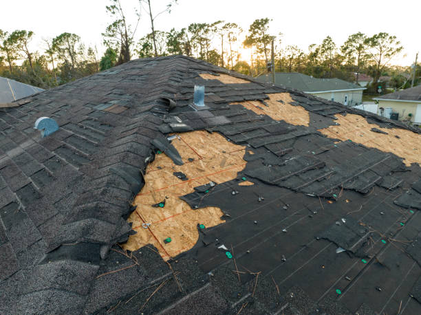 Best Storm Damage Roof Repair  in Noyack, NY